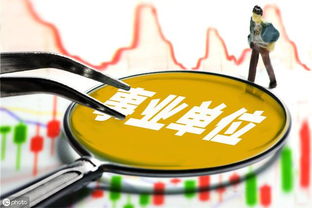 18類(lèi)事業(yè)單位之信息咨詢(xún)服務(wù) 了解與作用